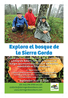 Colecta de Hongos 2016 Colecta de Hongos 2016