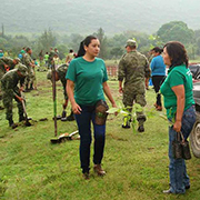 tree planting editada tree planting editada
